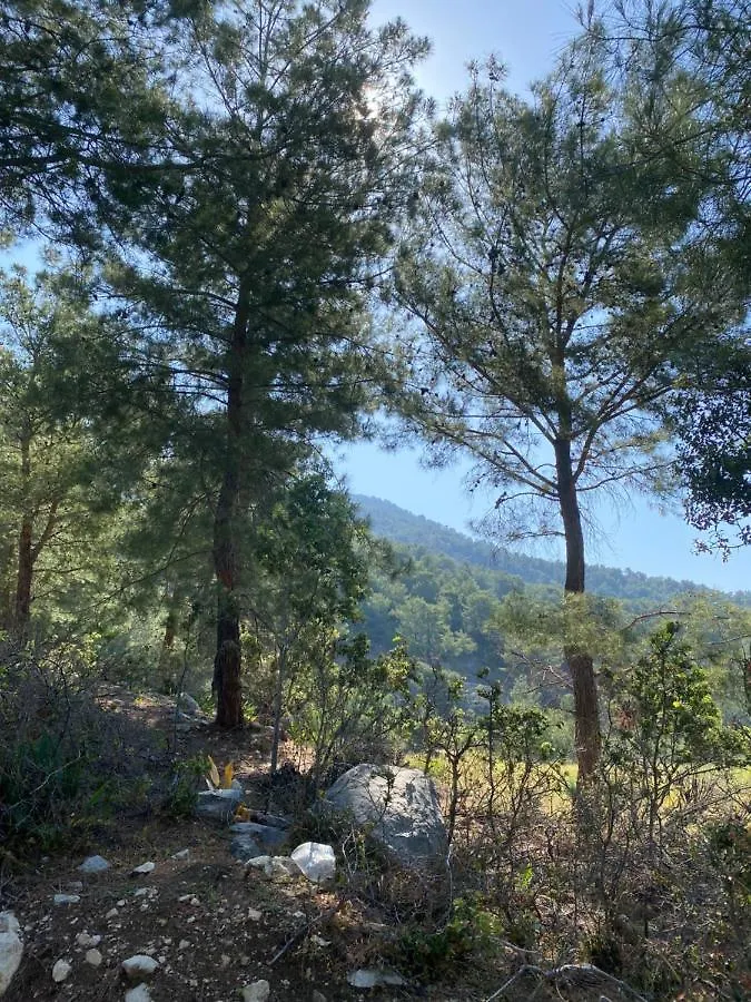 Beyza Villa Fethiye